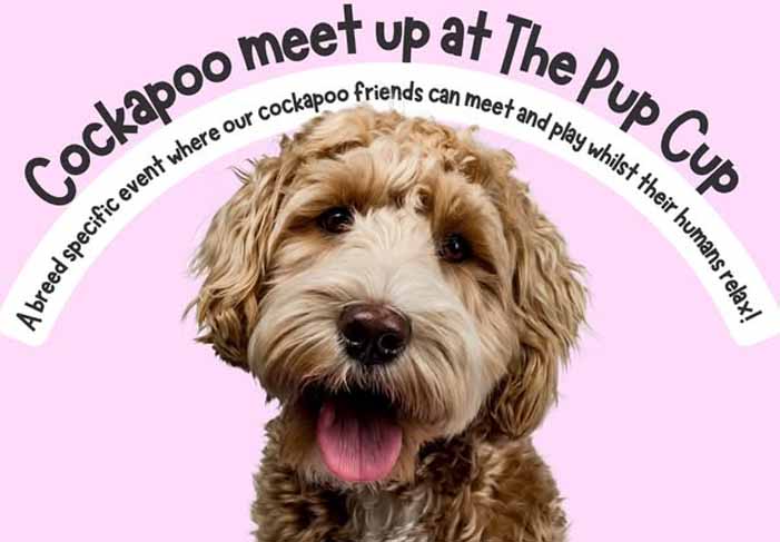 Dog Friendly Kent Weekend Guide 31 January 2026 01 February 2026