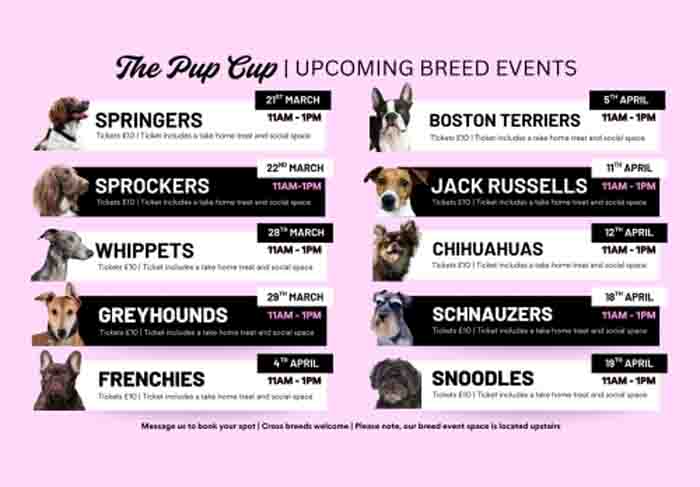 Dog Friendly Kent Weekend Guide 19 April 2026 20 April 2026